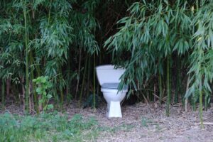 Climate Change and Sanitation Resilience
