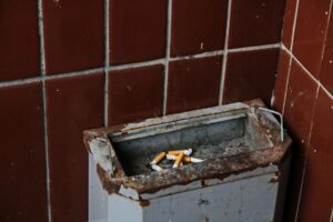Private Sector Involvement in Sanitation Services