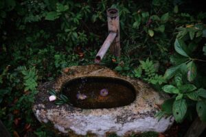 Public Toilets and Urban Planning