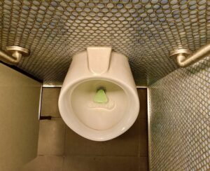 Sanitation for People with Disabilities