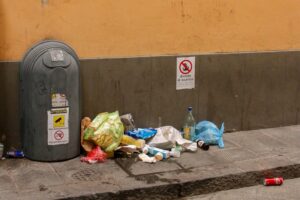 Sanitation in Developing Countries Challenges and Solutions