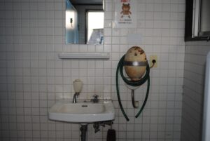 Technological Innovations in Sanitation Solutions