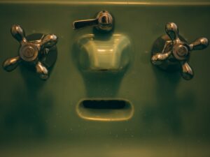 The Role of Sanitation in Preventing Epidemics